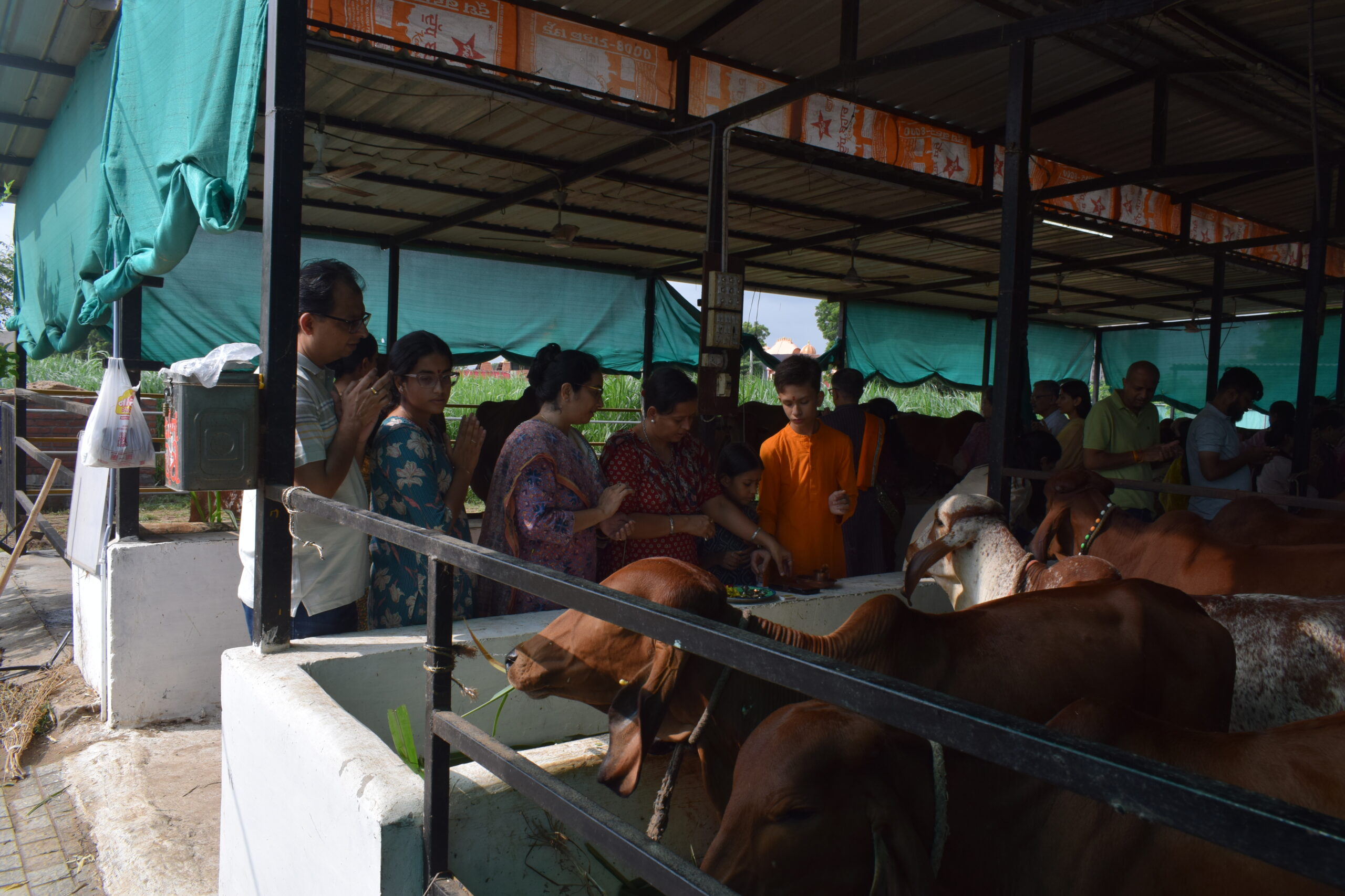 GauMata Pujan